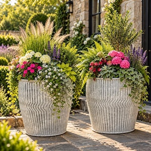 Puede incluir: Dos maceteros grandes de metal galvanizado con una textura acanalada vertical y ondulada. Cada recipiente está lleno de un exuberante arreglo de follaje verde, hierbas ornamentales altas, flores de hortensia blancas y rosas.