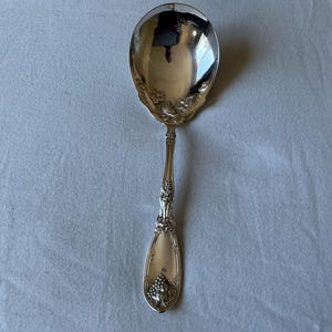 May include: A polished silver-tone serving spoon featuring an ornate handle with embossed grape and vine motifs. The large, rounded bowl has a reflective surface, while the tapered handle displays intricate floral and fruit detailing.