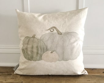 Cubierta de almohada de calabazas cenicienta