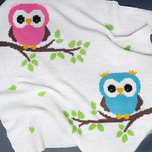 CROCHET Pattern - Baby Blanket Pattern - Two Owls - Crochet Chart - Owl Crochet Pattern - Afghan Crochet Pattern - Owl Crochet Graph