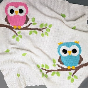 May include: A white crocheted baby blanket featuring two owls perched on branches. The owls are pink and blue with black eyes and brown beaks. The branches are adorned with green leaves.