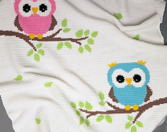 Crochet Baby Blanket Pattern: Two Owls Afghan (PDF Pattern)