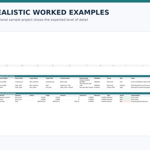 May include: A spreadsheet document titled Realistic Worked Examples featuring two tables. The first table, Example Data Mapping, lists columns for Source Object, Source Field, Target Object, Target Field, Transformation, Business Rule, Validation, Owner, Risk, and Notes. The second table, Example Reconciliation, includes Data Set, Measure, Source, Target, Variance, Variance %, Tolerance, Type, Result, and Interpretation.