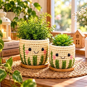 Crochet Plant Cozy Pattern, Succulent Pot Cover, Happy Face Planter, Crochet Plant Pot Cover, 4 Inch Pot PDF