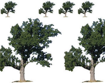 Tree decals for Lampwork and Fusing to glass SM108