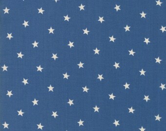 Crystal Lake 14877-11 Light Blue Moda Fabrics Minick /& Simpson Priced per Yard