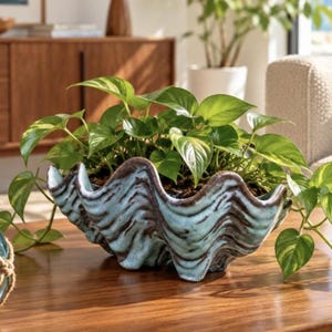 May include: A ceramic planter shaped like a giant clam shell with a wavy, scalloped edge. The exterior features a textured, mottled finish in shades of light blue and dark brown. A green pothos plant with heart-shaped leaves grows from the center.