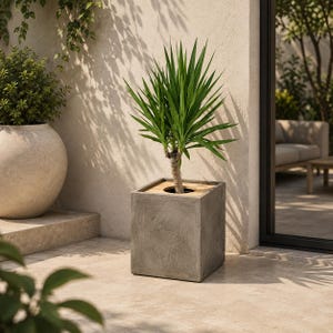 May include: A square, grey concrete planter with a light-coloured wooden top insert, containing a green yucca plant with long, pointed, sword-shaped leaves. The planter has a textured, matte finish and sits on a light-coloured stone patio surface.