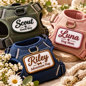 Op de afbeelding: Drie hondentuigjes in olijfgroen, oudroze en marineblauw. Elk tuigje heeft een rechthoekige of ovale patch met geborduurde tekst: Scout Good Boy, Luna Dog Mom en Riley Adventure Pup. De tuigjes zijn voorzien van metalen D-ringen en verstelbare banden.