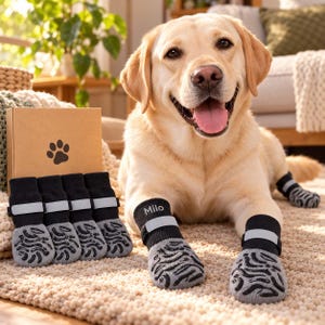 Puede incluir: Un Labrador Retriever de color claro lleva calcetines para perro negros y grises con suelas antideslizantes texturizadas y correas reflectantes. Un calcetín está personalizado con el nombre Milo. Una caja de cartón con un icono de huella se encuentra detrás.
