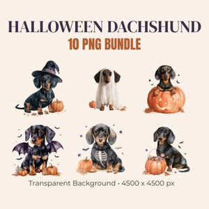 Könnte beinhalten: Ein digitales Set mit dem Titel HALLOWEEN DACHSHUND 10 PNG BUNDLE mit sechs Aquarellillustrationen von schwarz-lohfarbenen Dackeln in Kostümen, darunter Hexenhut, Geisterlaken, Kürbis, Fledermausflügel, Skelettpullover und ein Eimer voller Süßigkeiten.
