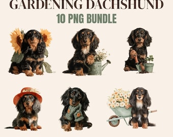 Gardening Dachshund PNG Bundle, 10 Watercolor Sausage Dog Clipart, Garden Dog Sublimation, Transparent PNG Digital Download