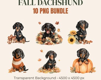 Fall Dachshund PNG Bundle, 10 Autumn Wiener Dog Clipart Designs, Cute Fall Sublimation PNG, Commercial Use, Digital Download