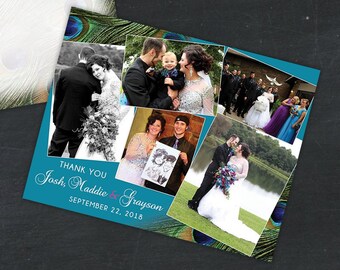 Peacock Feather Wedding Thank You Postcards - Free Shipping - Teal blue background can be any color - Fun & Whimsical