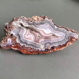Puede incluir: Una rodaja de ágata pulida con bandas concéntricas en tonos blancos, lavanda y rosa suave. El centro muestra patrones ondulados intrincados, mientras que el borde exterior conserva una corteza marrón rugosa, texturizada y terrosa con acentos de color naranja intenso.