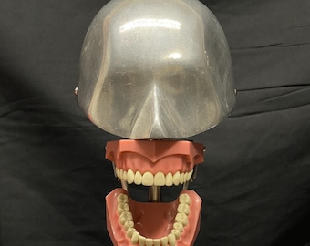Dental phantom Columbia dentoform skull oddities 1940’s stamped original head and teeth
