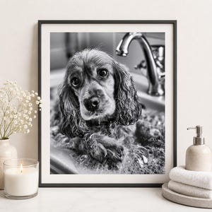 May include: A black and white framed wall art print featuring a wet spaniel dog sitting in a bathroom sink filled with soap bubbles. The dog has long, wavy ears and is looking directly at the camera with a faucet visible in the background.