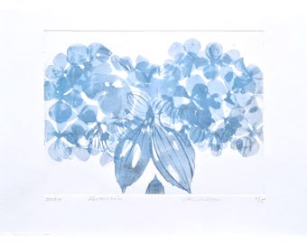 Hortensia Spitbite A4, lámina botánica original, edición limitada.