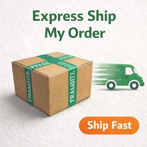 Expressversand meine Bestellung