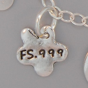 May include: Silver charm with a star shape and the text "FS. 999" engraved on it.