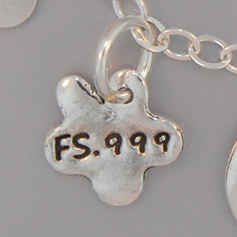 May include: Silver charm with a star shape and the text "FS. 999" engraved on it.