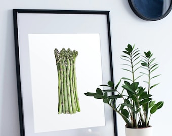 Spargel Pflanzenzeichnung, Spargel Druck, Küchenkunst, Küchendeko, Food Art, Pflanzendruck.
