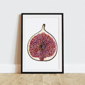 Desenho botânico de figo, impressão de frutas, arte de cozinha, decoração de cozinha, lindo presente de inauguração