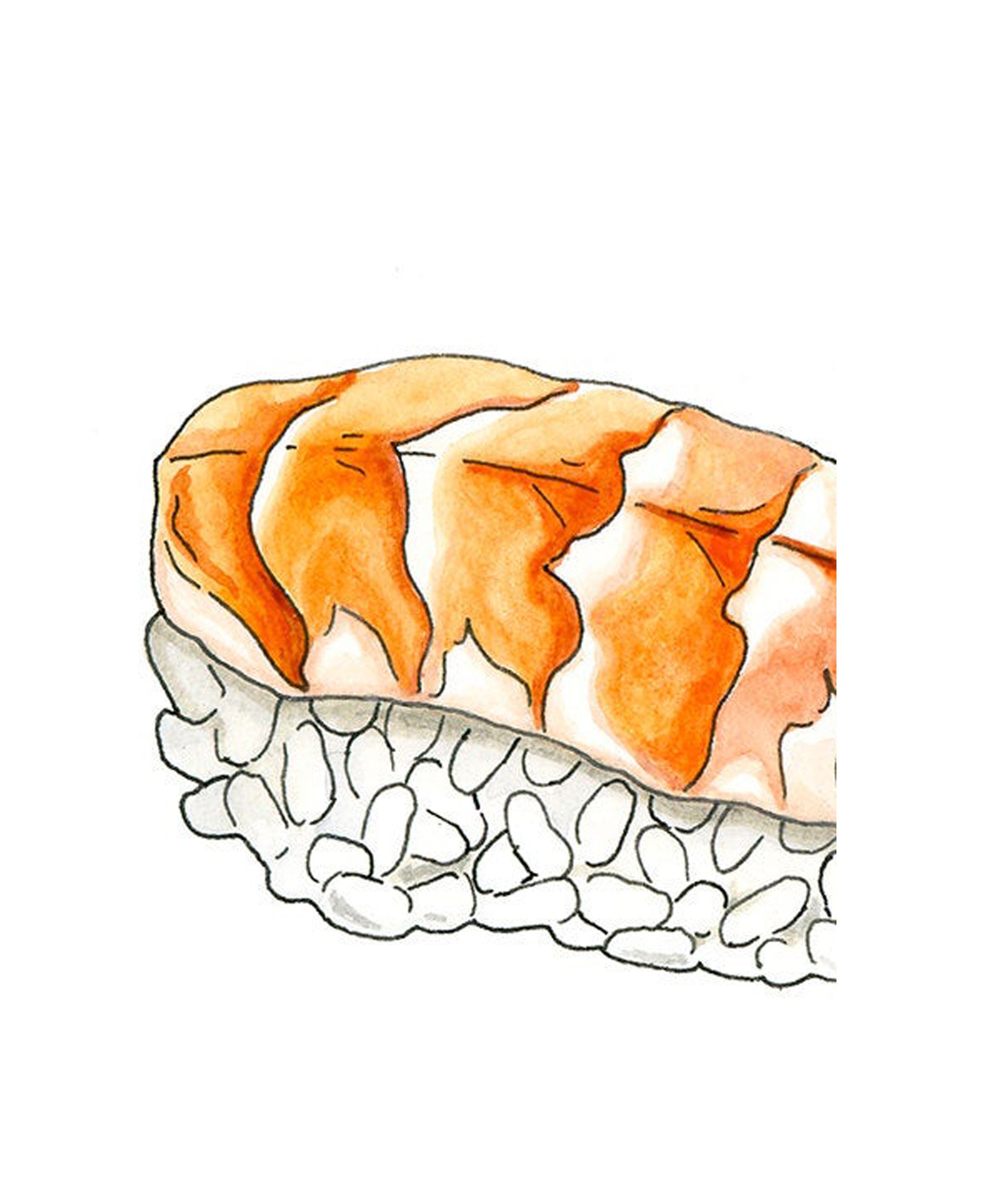 Sushi, Sushi Illustration, Sushi Gift, Sushi Pen and Ink Drawing ...