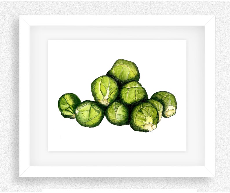 Sprouts Unique Hand Drawn present, Food Art, Kitchen Print, Fun Gift, House Warming Gift, Kitchen Decor, image 4