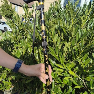 May include: A black walking stick featuring a gold star pattern along the shaft. The stick has a black T-shaped handle with a gold-coloured collar and a black wrist strap attached near the top. The design includes a telescoping adjustment mechanism.