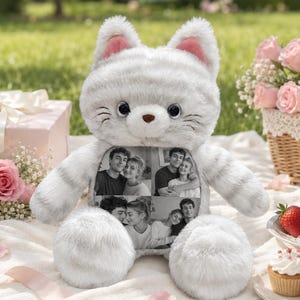 Puede incluir: Un juguete de peluche con forma de gato de pelaje suave a rayas blancas y gris claro, con grandes ojos oscuros, una pequeña nariz marrón y orejas rosadas por dentro. El centro del pecho muestra un collage rectangular de cuatro fotos en blanco y negro.