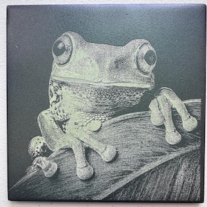 May include: A square black tile featuring a detailed, light-colored etched illustration of a tree frog resting on a large leaf. The frog is depicted with large, prominent eyes and textured skin, with its front feet gripping the edge of the leaf.