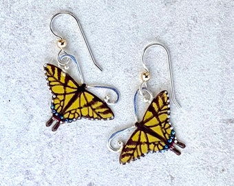 Tiger Swallowtail Butterfly Earrings