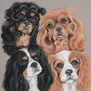 Cavalier  King Charles Spaniel Four Colors Print-  Limited edition