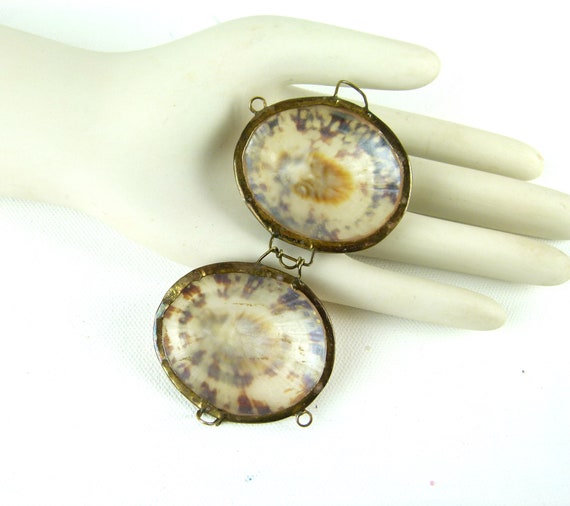 LIMPET Shell Trinket Box | Pill Box | Jewelry Box… - image 5