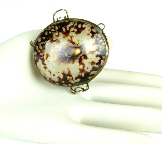 LIMPET Shell Trinket Box | Pill Box | Jewelry Box… - image 1