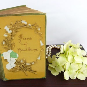 Celluloid Book Cover Poems of Robert Burns | 1892 | Published by T.Y. & Co.Crowell