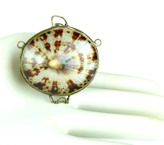 LIMPET Shell Trinket Box | Pill Box | Jewelry Box… - image 2