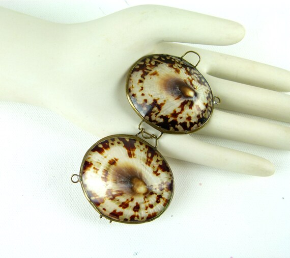 LIMPET Shell Trinket Box | Pill Box | Jewelry Box… - image 4