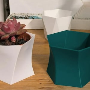 Puede incluir: Dos maceteros geométricos con borde hexagonal y lados curvos, uno blanco y otro verde azulado. Una pequeña suculenta de hojas rojizas está en una maceta de plástico marrón dentro del macetero blanco. Se observa un tercer macetero blanco.