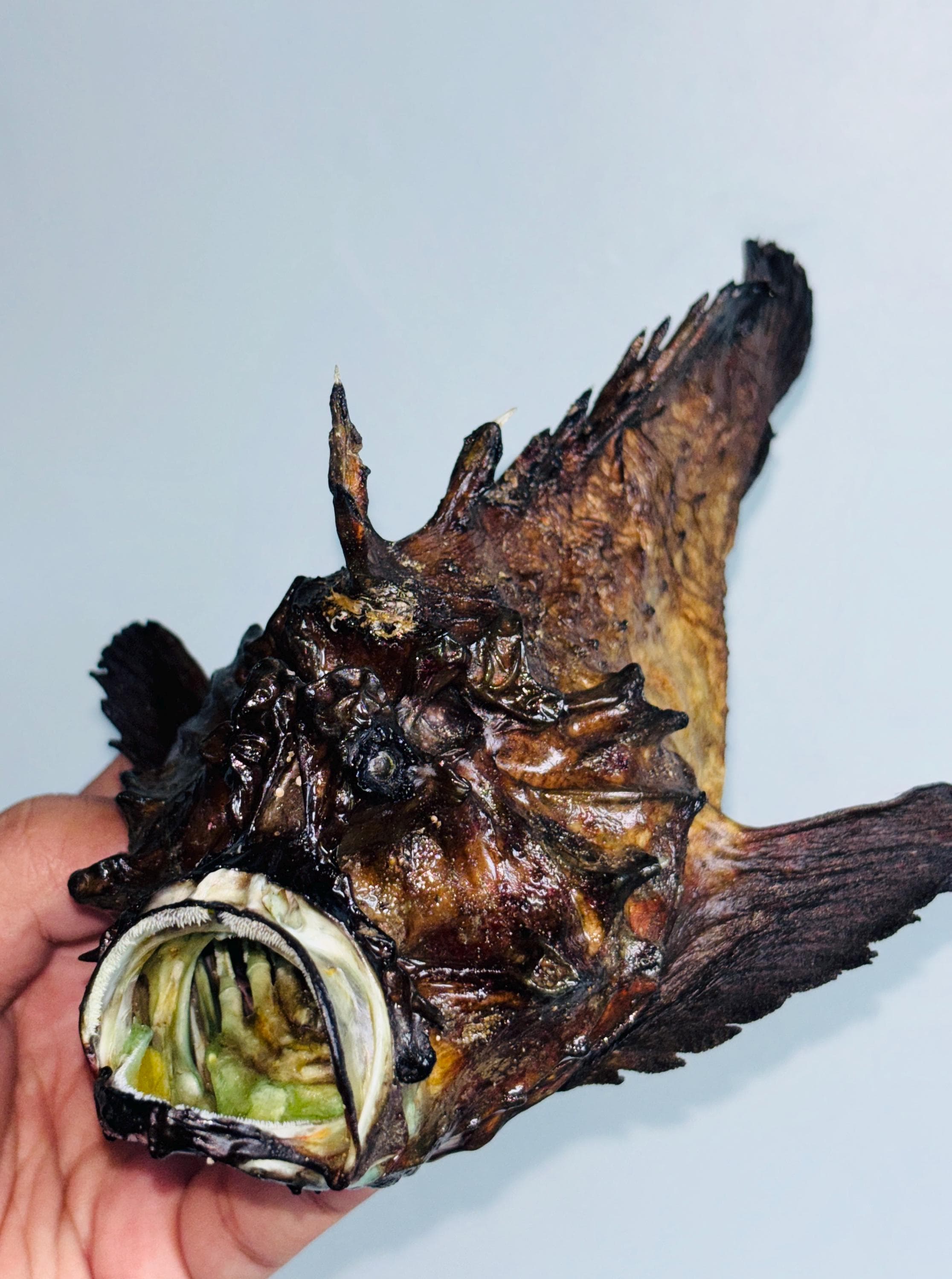 Stonefish - Etsy