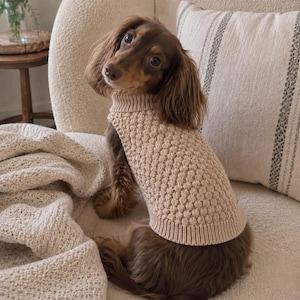 May include: A long-haired dachshund with brown fur wearing a beige knit sweater. The sweater features a textured bobble stitch pattern on the body, a ribbed turtleneck collar, and a ribbed hem. The dog has large dark eyes and floppy ears.