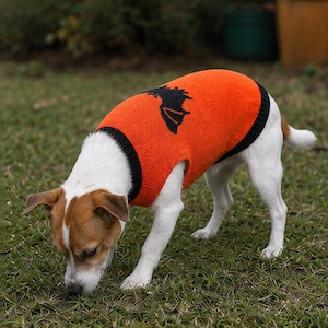 Puede incluir: Un suéter de punto para perro en color naranja brillante con la silueta de un murciélago negro en la espalda. La prenda tiene un cuello acanalado negro y bordes acanalados negros en las aberturas de las patas, para un perro pequeño.