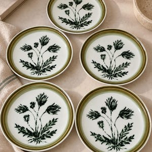 Lot de 5 assiettes vintage Gien modèle Herbier Faïence française décor botanique années 70 25 cm