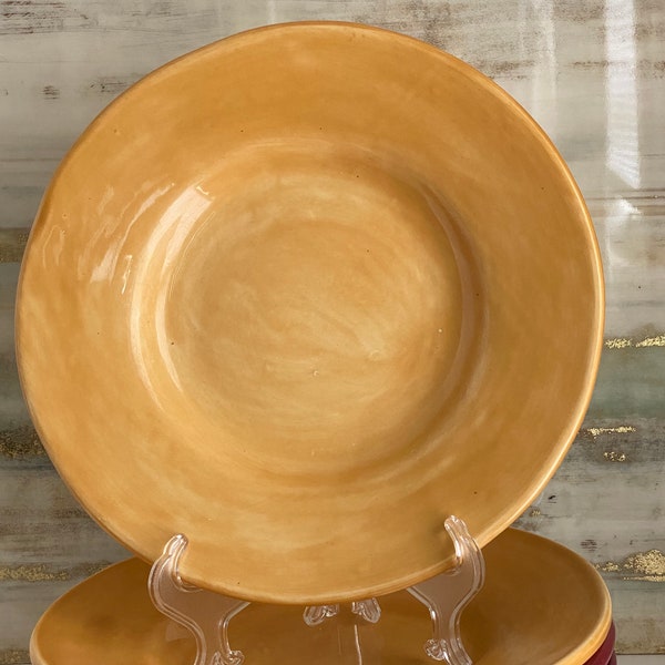 Pottery Barn Sausalito Salad Plates, Made in Mexico, Amber, Merlot or Moss, Your Choice