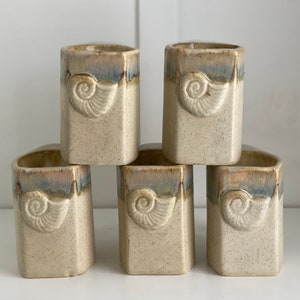 Puede incluir: Conjunto de seis tazas de cerámica beige con un diseño de concha. Cada taza tiene un glaseado azul claro alrededor del borde superior.