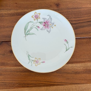 Assiettes à salade en porcelaine fine Rosenthal Winifred Lily - Motif feuille de porcelaine pastel vintage