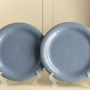 Può includere: Due piatti in ceramica blu chiaro macchiati con un bordo bianco. I piatti sono su supporti in plastica trasparente.