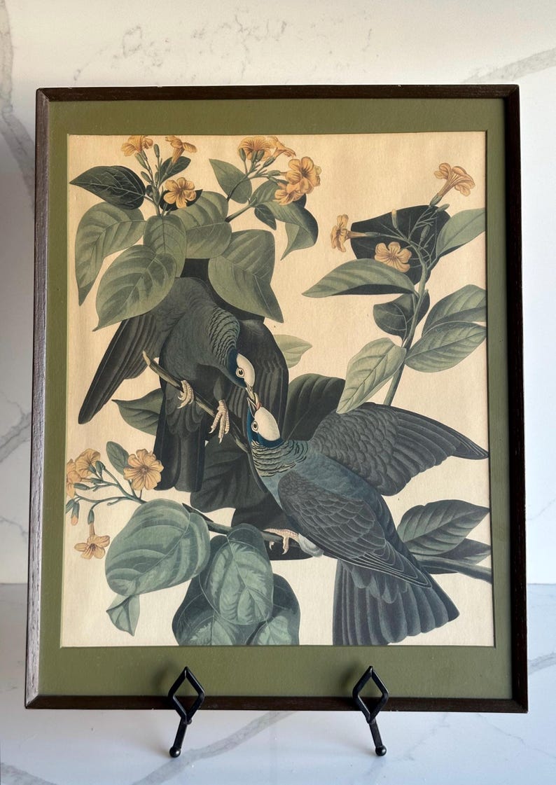 Vintage Framed Bird Prints, Set of 3 Botanical Audubon Style Wall Art ...