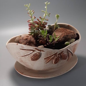 May include: A cream-colored ceramic planter with a saucer, filled with succulents and small rocks. The planter has a textured surface with embossed pine cone designs. The succulents have green and reddish hues, creating a natural, earthy aesthetic.